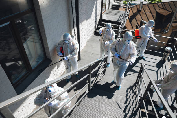 Best Mold Remediation for Healthcare Facilities  in Holiday Valley, OH