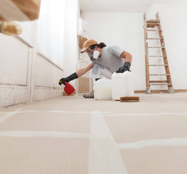 Best Comprehensive Air Testing for Mold Contaminants  in Holiday Valley, OH